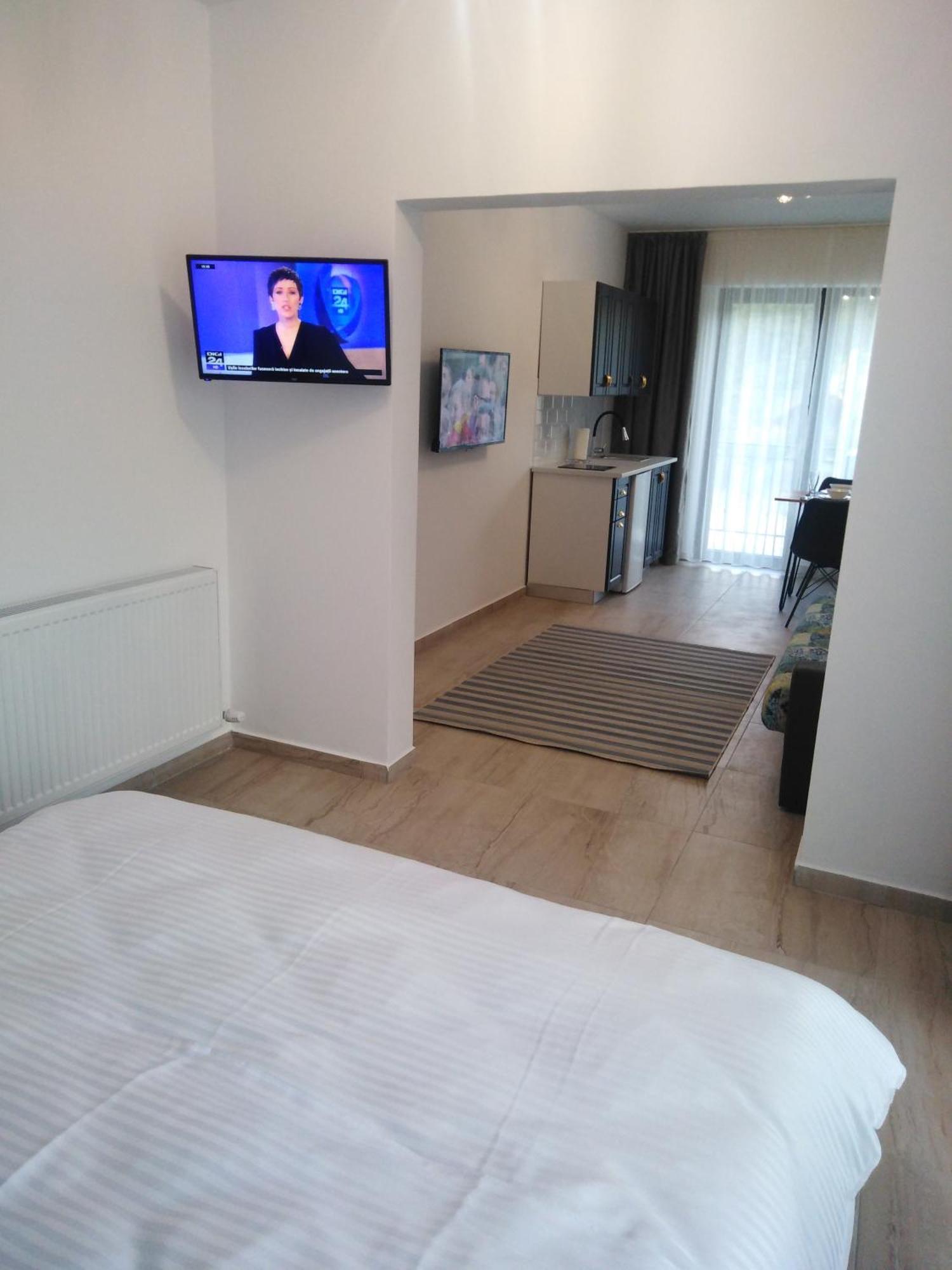 Danifeld Inn Voronet Bagian luar foto